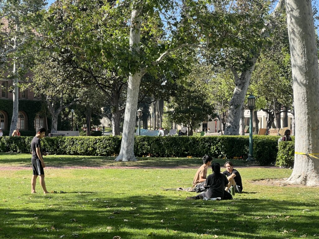 Four USC students relaxing on sunny day in Alumni Park