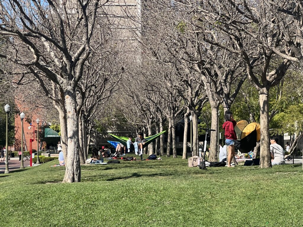 USC student relaxing and studying near McCarthy Quad, between a line of trees.