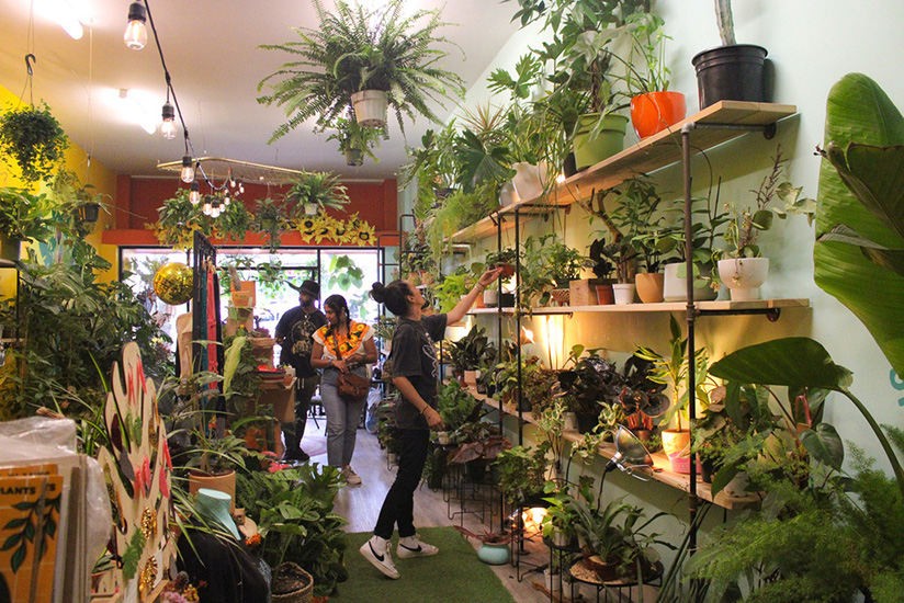 People browsing in a plant shop